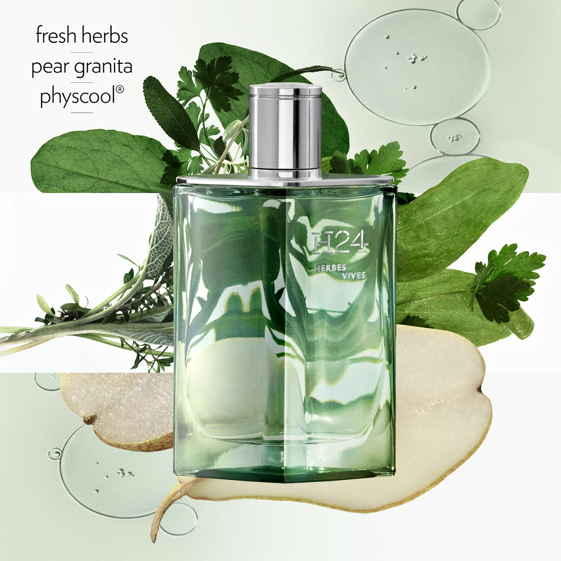 H24 Herbes Vives EdP 50 ml - HERMÈS