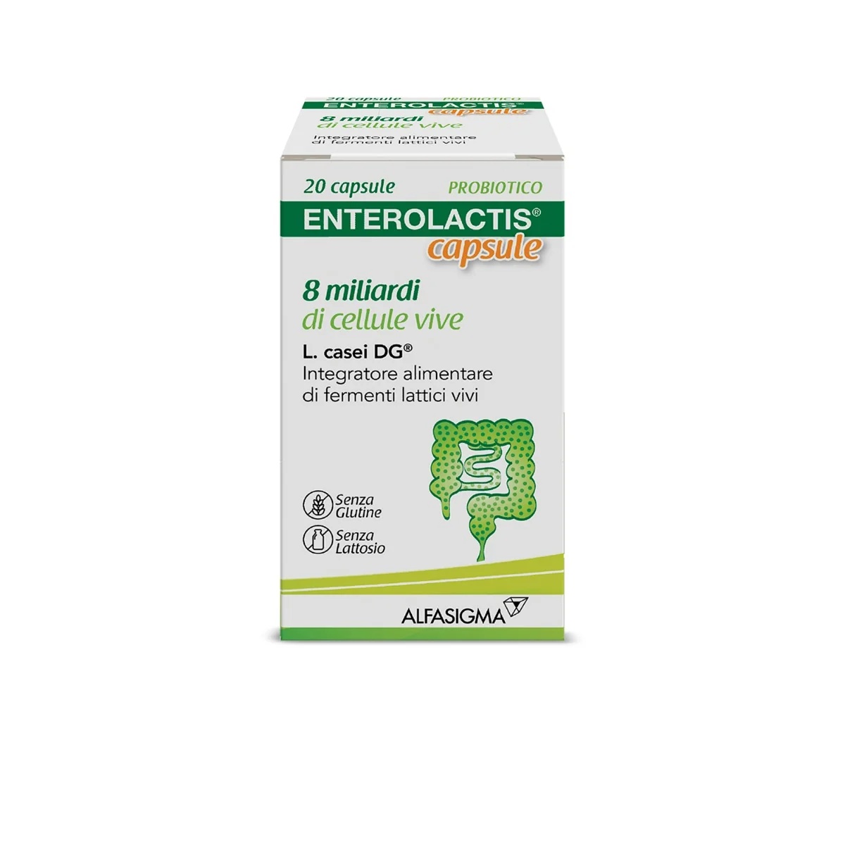 ENTEROLACTIS Enterolactis 20 cápsulas 300 mg Suplemento alimentar com fermentos lácticos para adultos Efeitos probióticos
