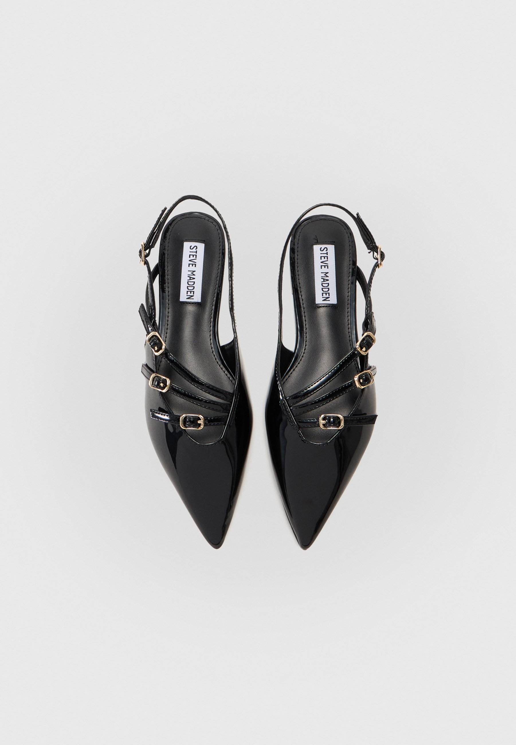 Steve Madden CIANNA - Ballerina pumps - zwart
