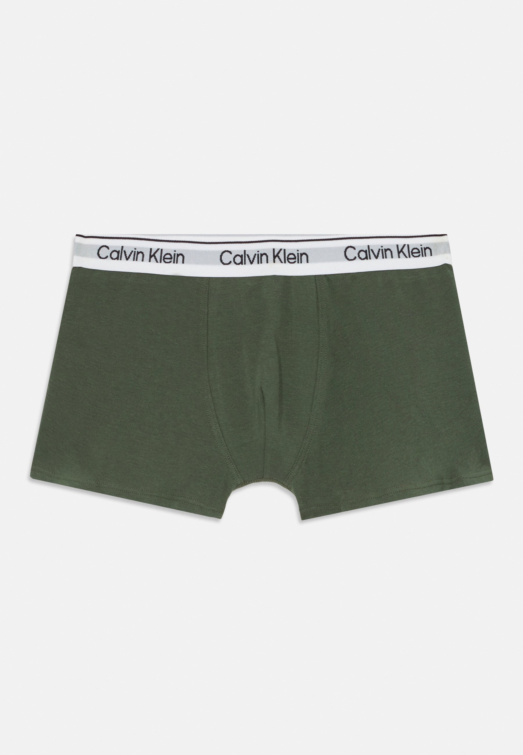 Calvin Klein Underwear TRUNK 2-PACK - Broekjes - tijm/ceder