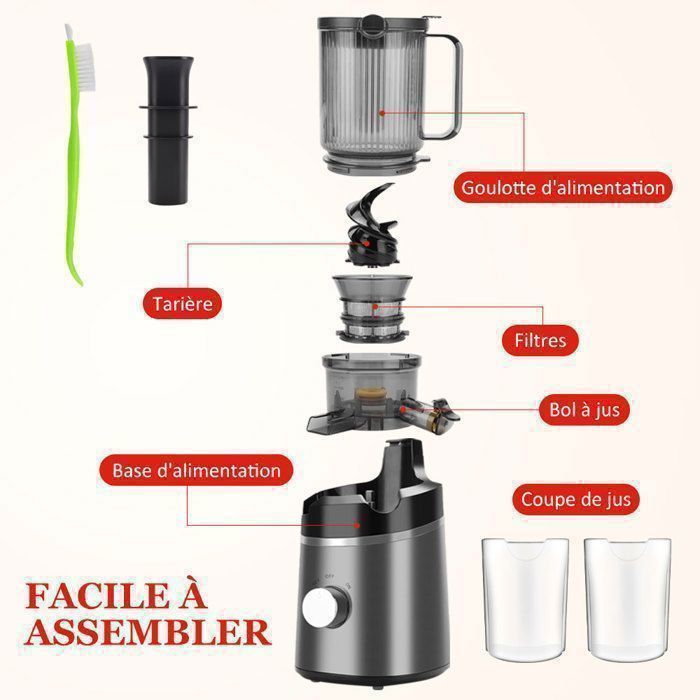 Extracteur de Jus de Fruits et Légumes Vertical, 120mm Machine à Jus avec 2 Tasses et Brosse, 800W et Capacité de 1.5 L