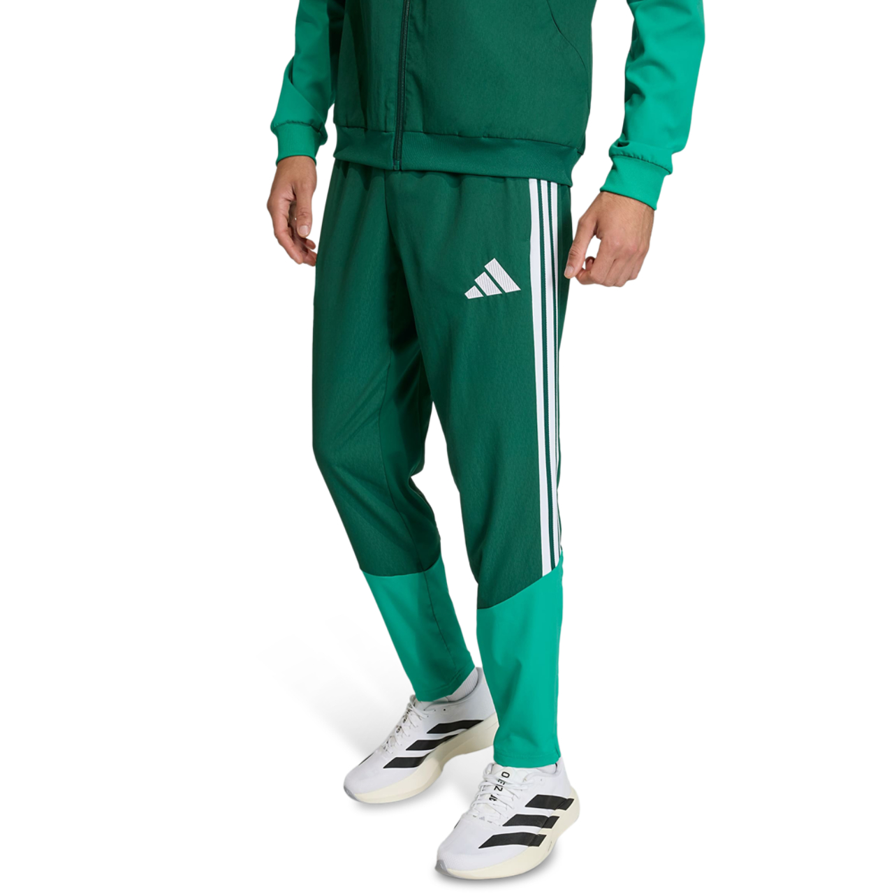 adidas Alžírsko Pre
