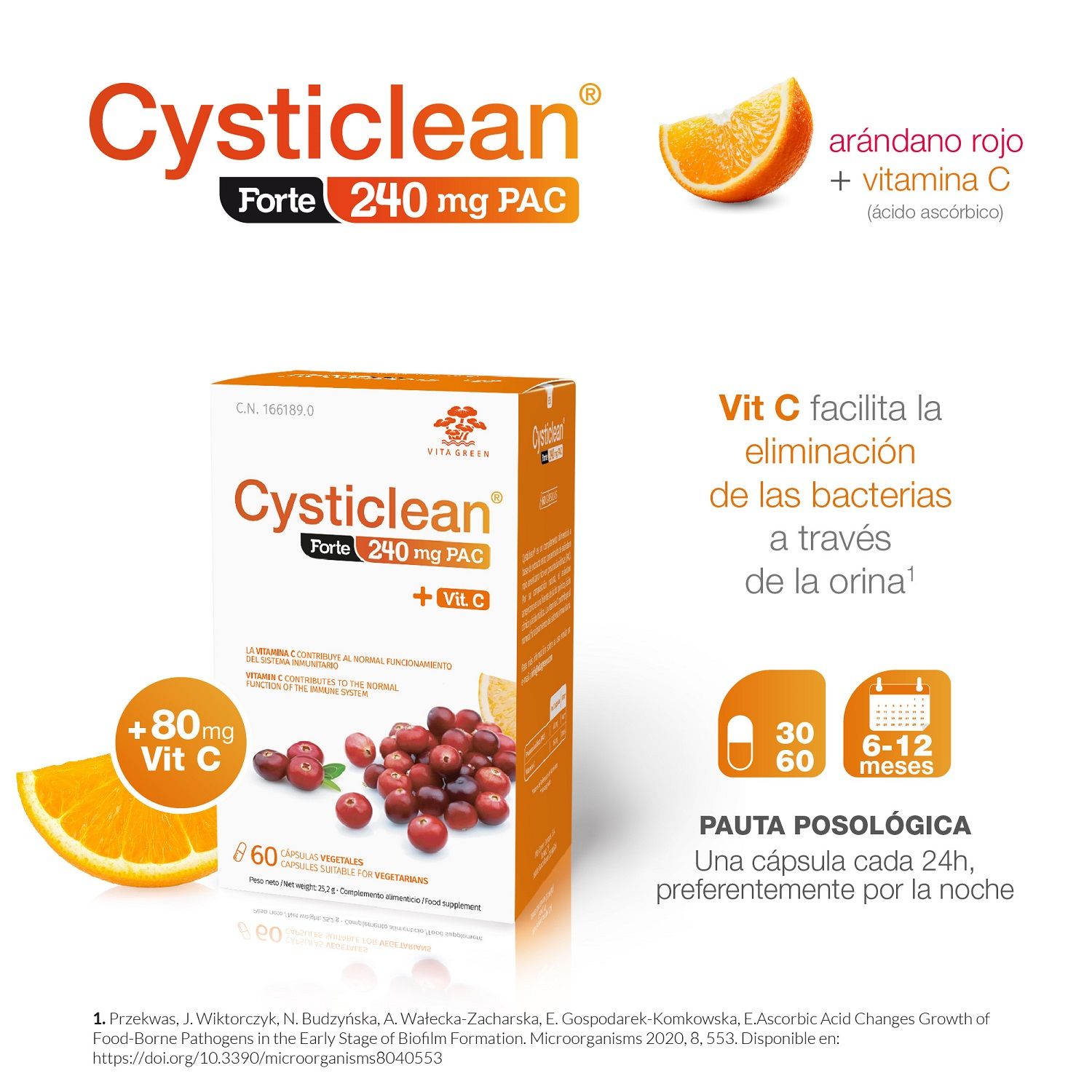 Forte s PAC-om, vitaminom C i brusnicom Prehrana i dijetetika