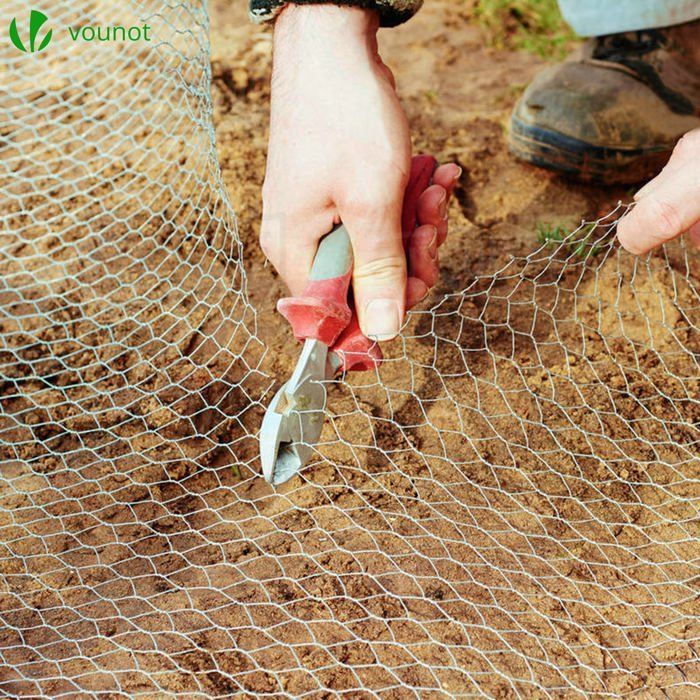 Malla metálica VOUNOT® para gallineros - Metal recubierto de PVC verde - Malla de 13 mm - 1 x 50 m - Cercado para gallineros