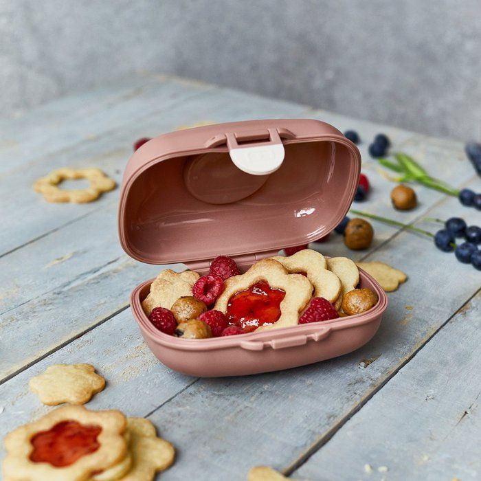 Lunch Box - MONBENTO - Airtight Snack Box - MB Gram Fox