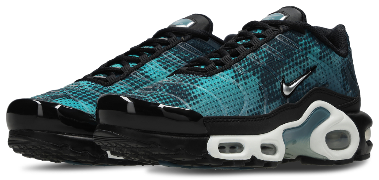 Nike Air Max Plus Fl Tuned