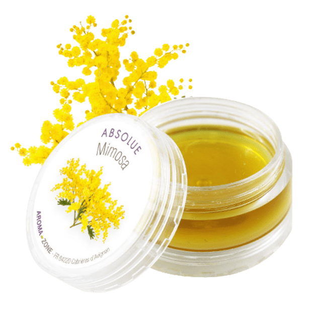 Absolue de fleurs de Mimosa