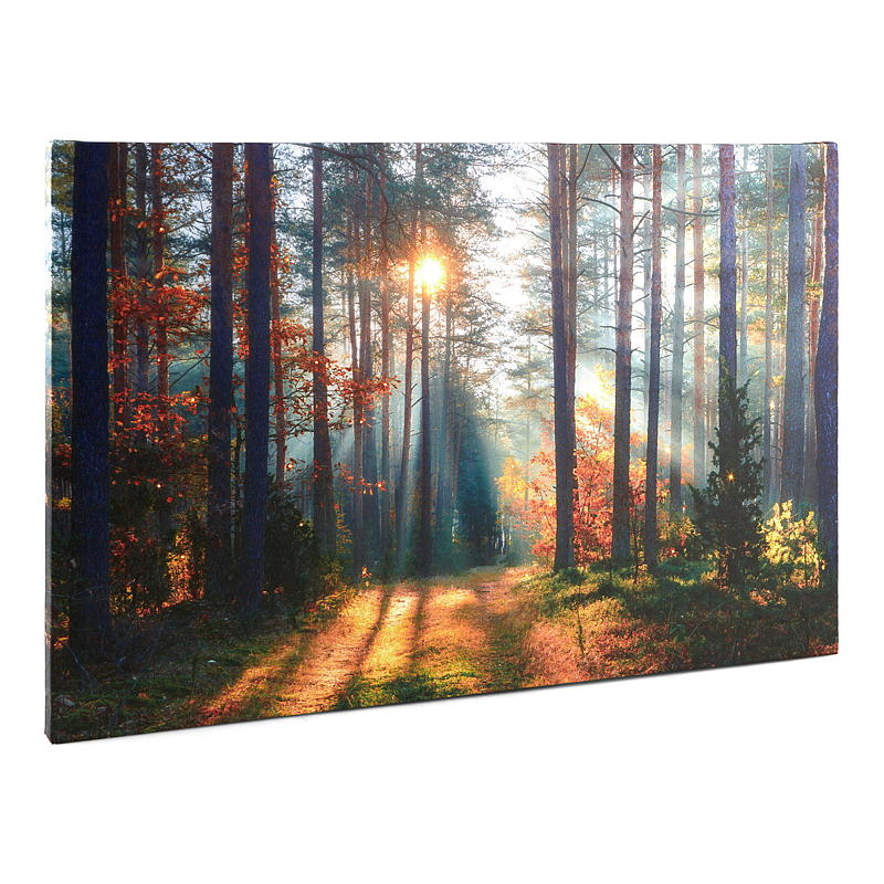 Canvastavla 38x58 cm LED/fiberoptik Höst