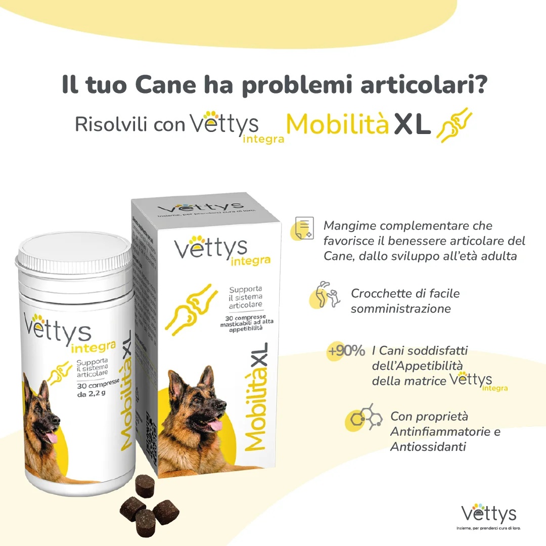 VETTYS Vettys Integra Mobility Dog 30 comprimidos