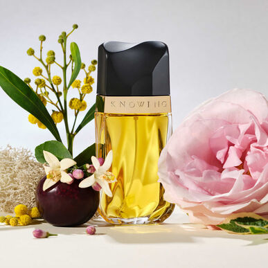 Estee Lauder Estée Lauder Knowing parfumska voda 75 ml 75 ml