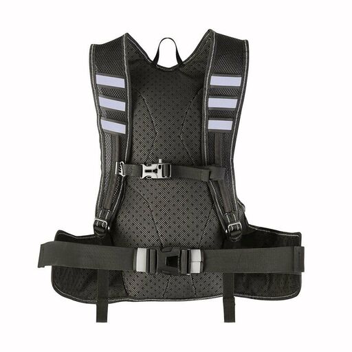 Proviz Reflect360 hardlooprugzak 10 liter