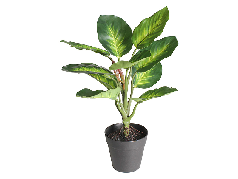 Sztuczny kwiat w doniczce difenbachia 35 cm