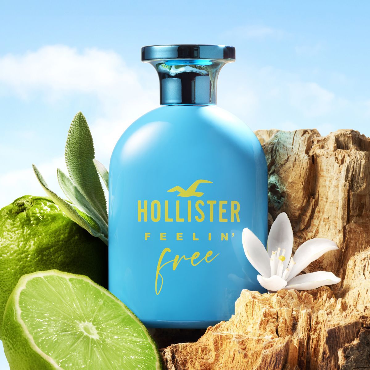 Hollister Føler sig Fri