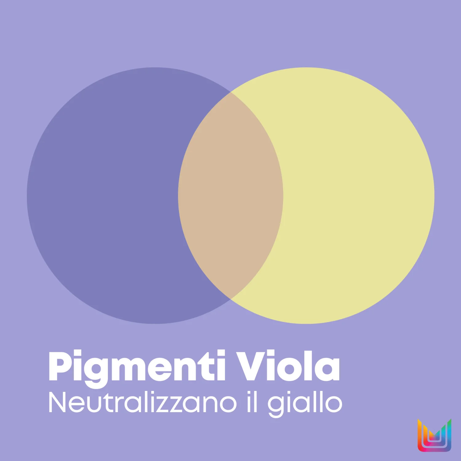 Total Results So Silver Purple Conditioner - Balsamo Protezione Colore Capelli