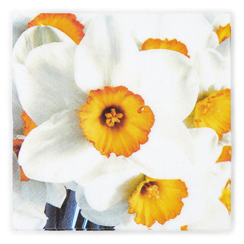Vie Home Servietten, 20er-Pack, 33 x 33 cm, Ostern