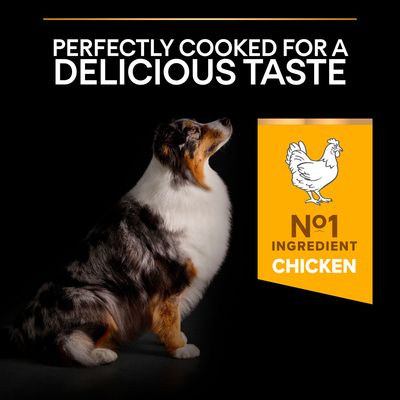 PURINA PRO PLAN Średnia i duża karma dla dorosłych 7+ lat