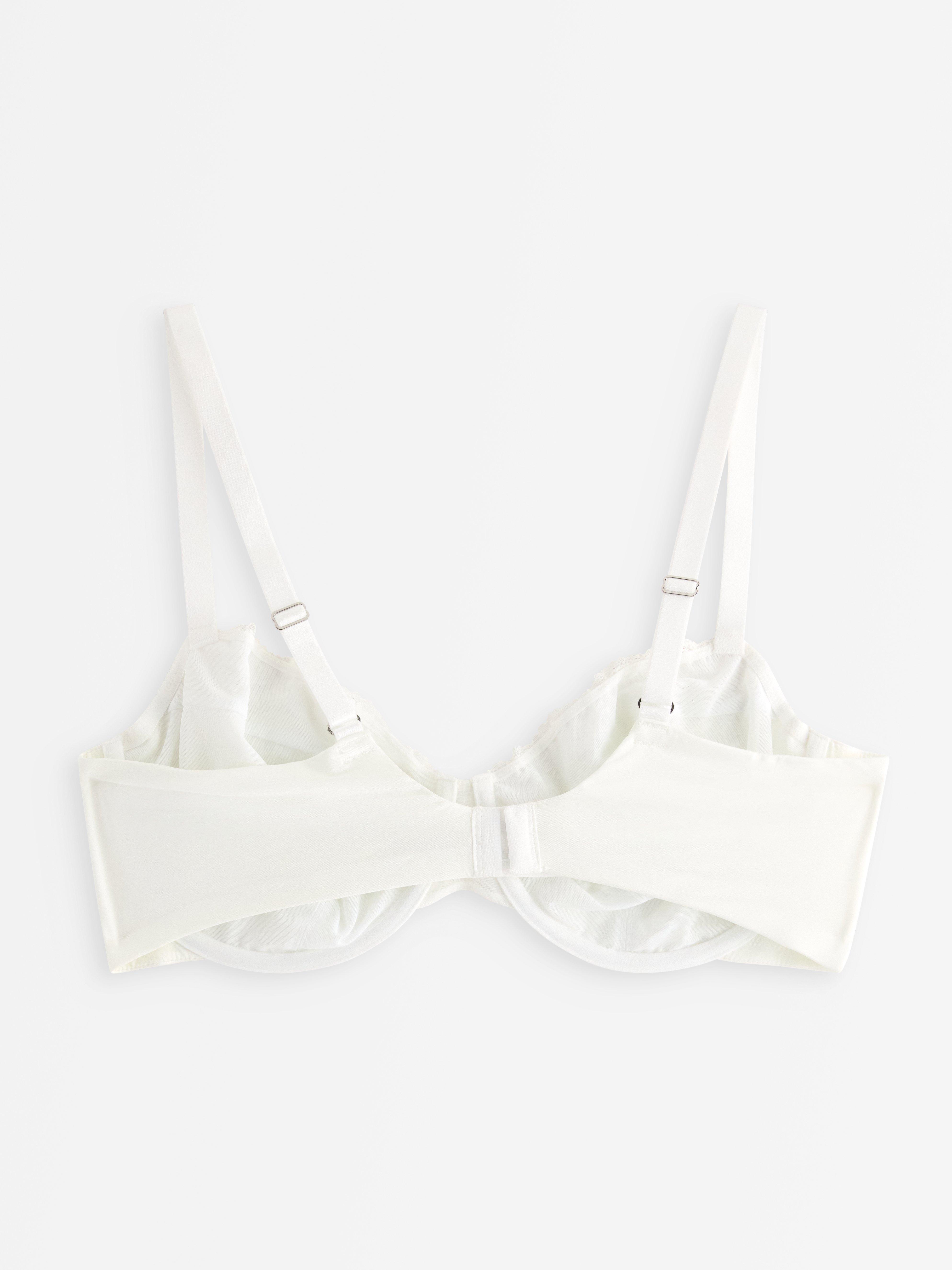 Aster ovadderad bh White