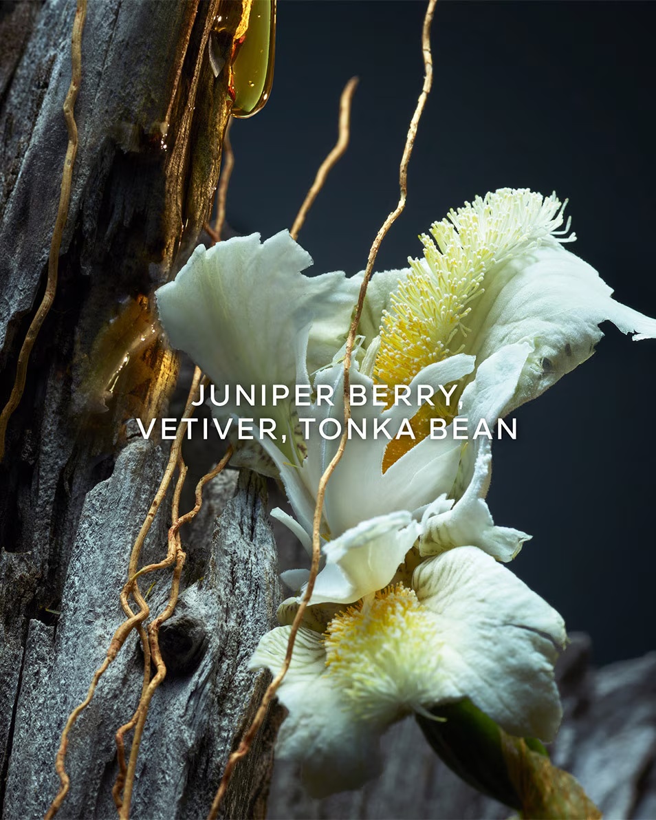 Parfum GUERLAIN Vetiver