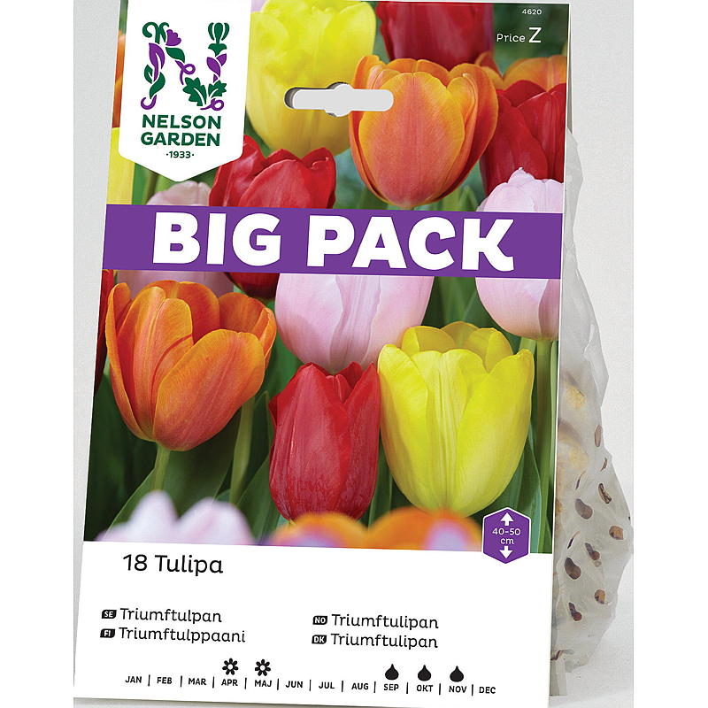 Nelson tuin Herfstbollen Tulp Triumph gemengd