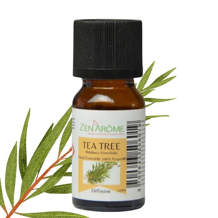 Olio essenziale di tea tree – 100% puro e naturale - Diffusione aromaterapica – 10 ml – Confezionato in Francia - Zen'Arôme
