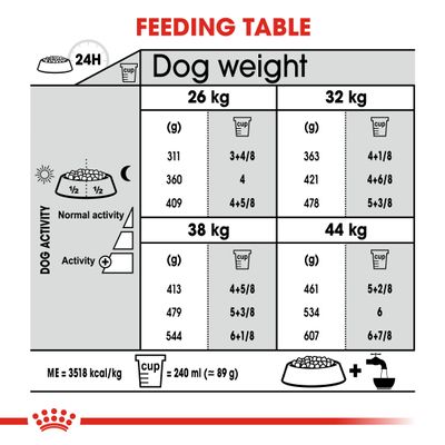 Royal Canin Maxi Gelenkpflege