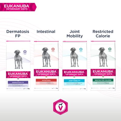 Dieta veterinaria Eukanuba per la mobilità articolare