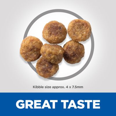Hill's Science Plan Adult 1-6 Small & Mini z jagnięciną i ryżem
