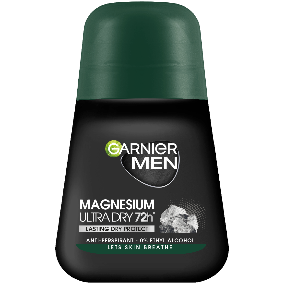 Garnier Hommes