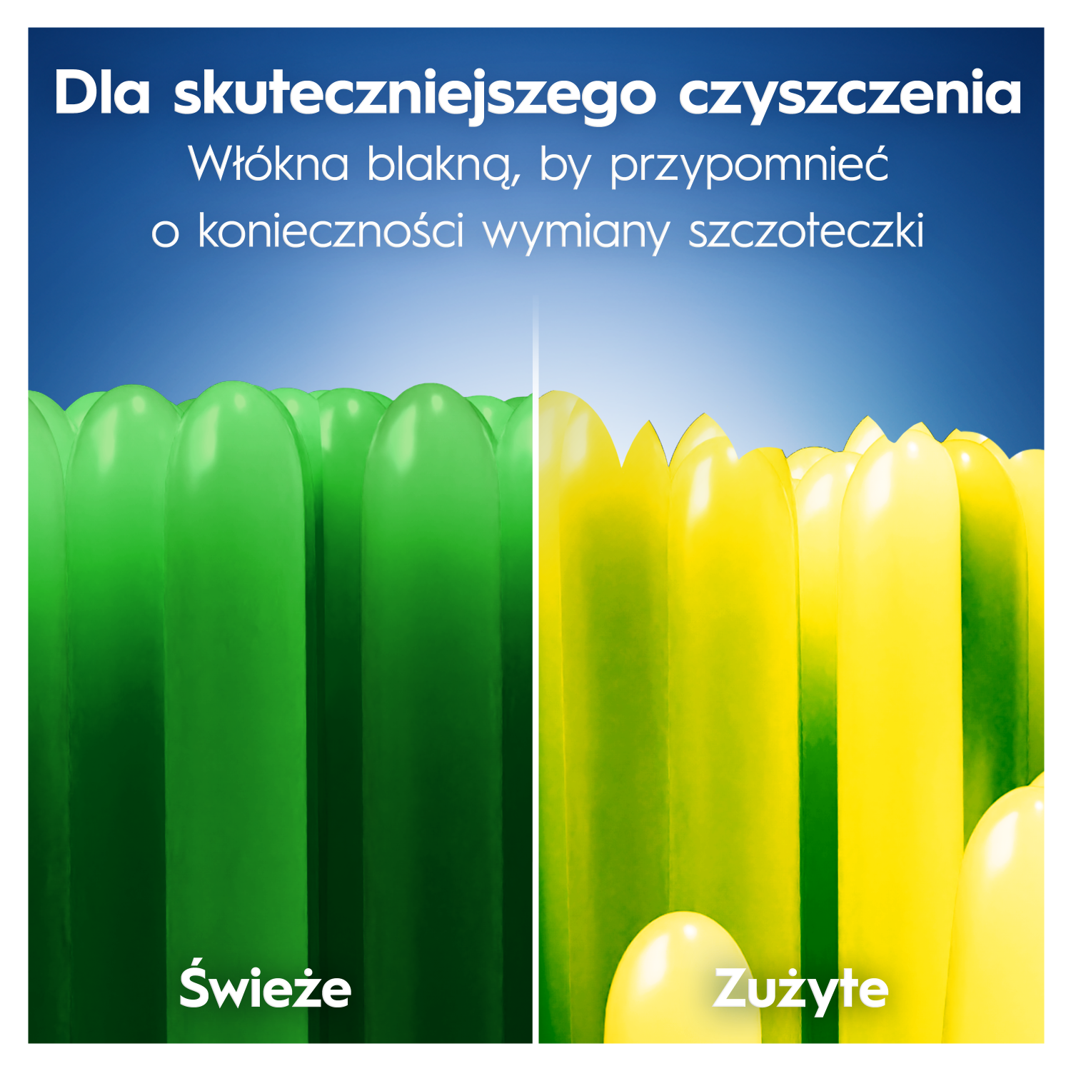 Oral-B Pro-Clean