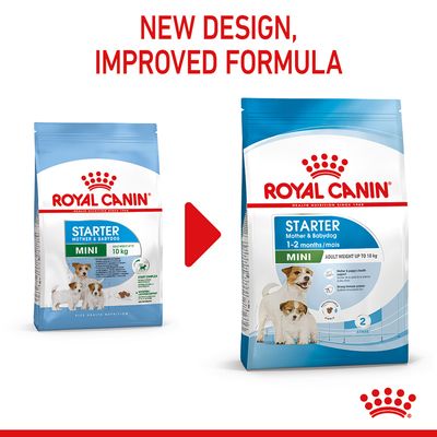 Royal Canin Mini Starter Mutter & Babyhund