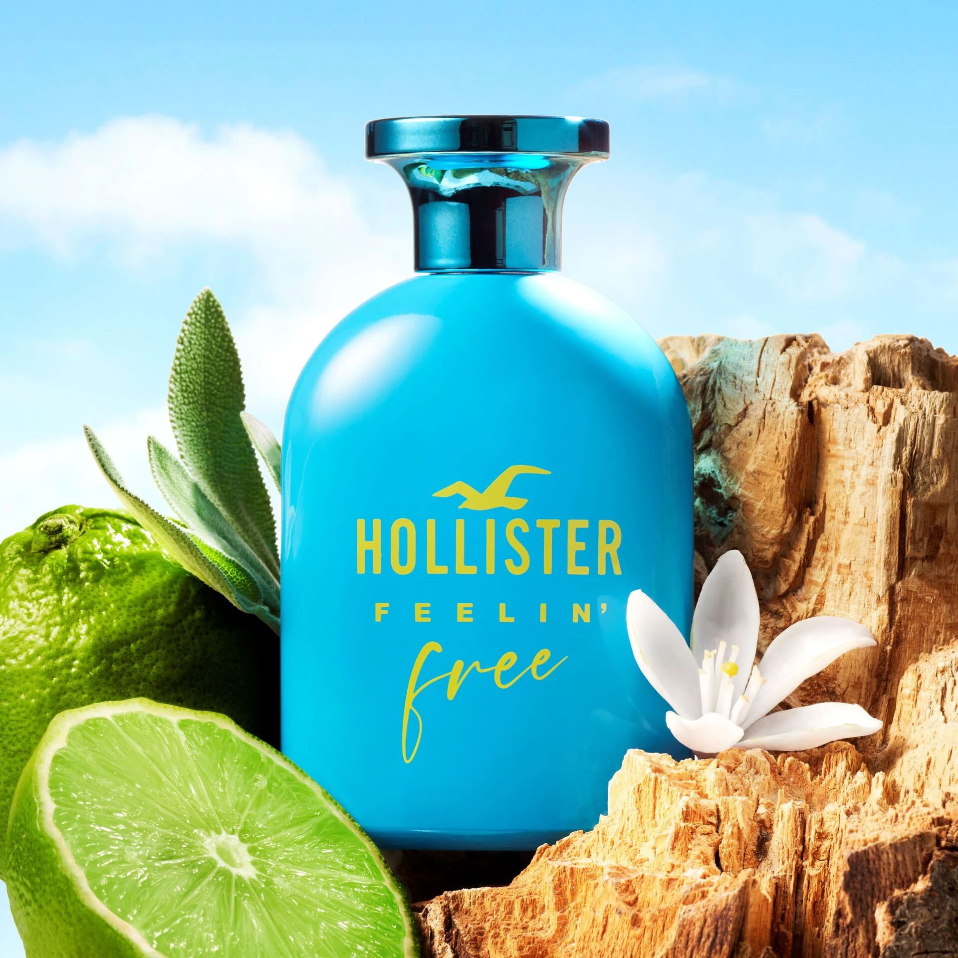 Hollister toaletna voda Feelin' Free za njega 30 ml