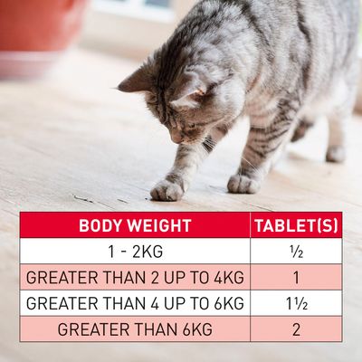 beaphar WORMclear® Tablets for Cats