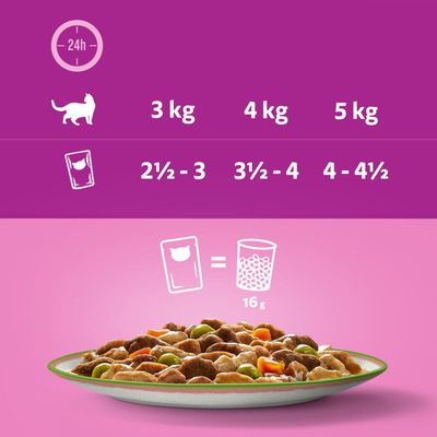 Whiskas 1+ Mix Delicios Alegerea Bucătarului în Sos
