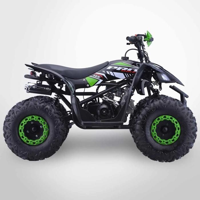 Quad infantil de 125 cm³ PROBIKE 125-R / Verde