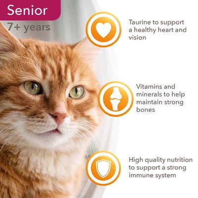 IAMS deleita a los adultos mayores con su colección Tierra y Mar en salsa.