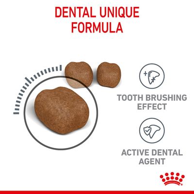 Royal Canin Tannpleie