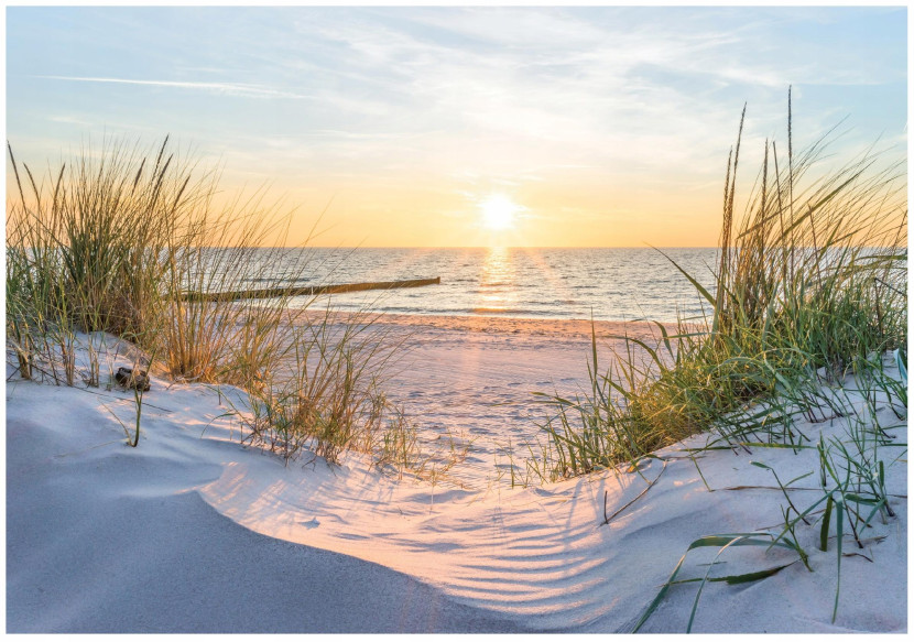 Fototapeta Plaża Morze Wydmy Bałtyk Widok Do Sypialni Salonu Tapeta 250X175