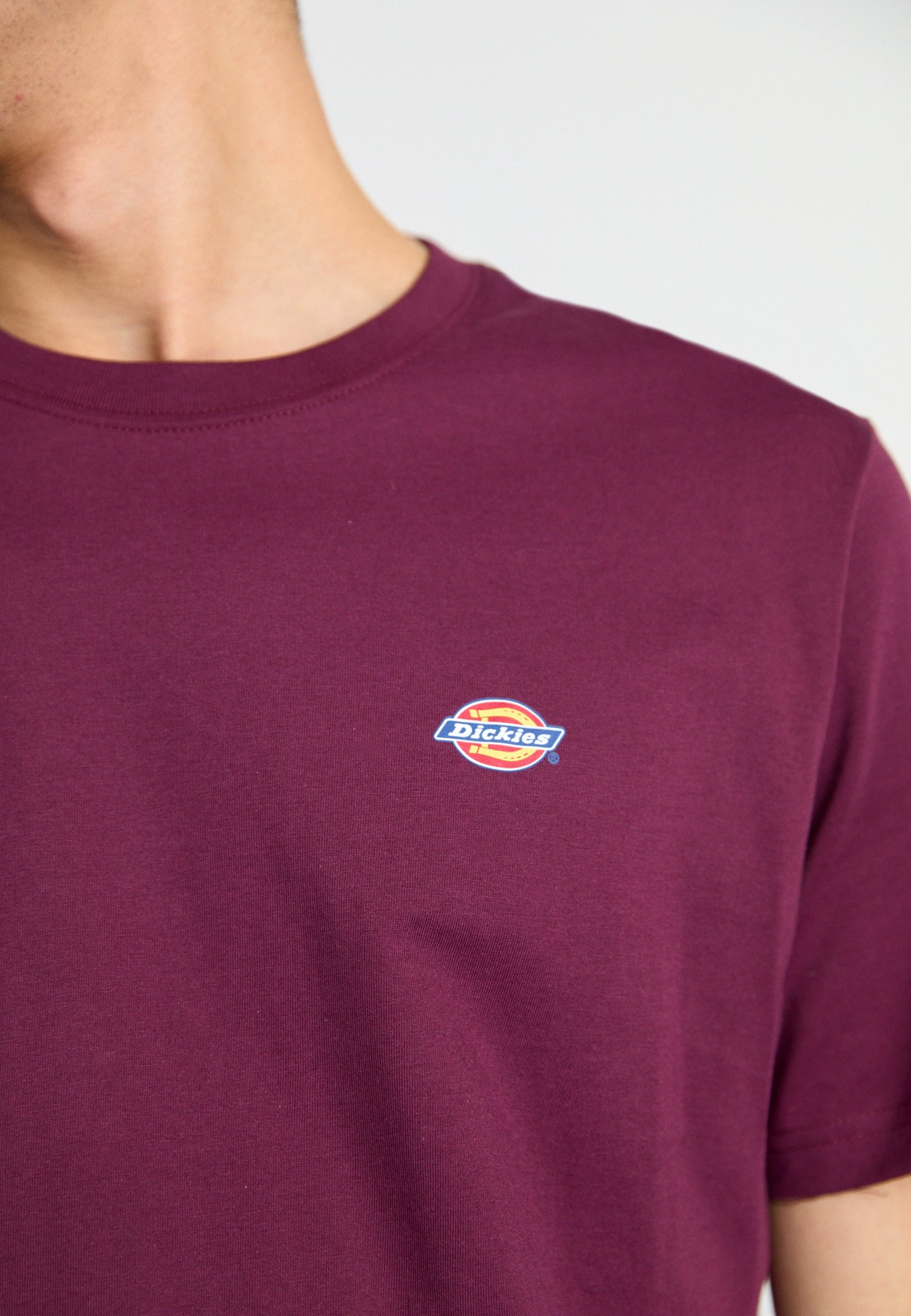 Koszulki Dickies Basic
