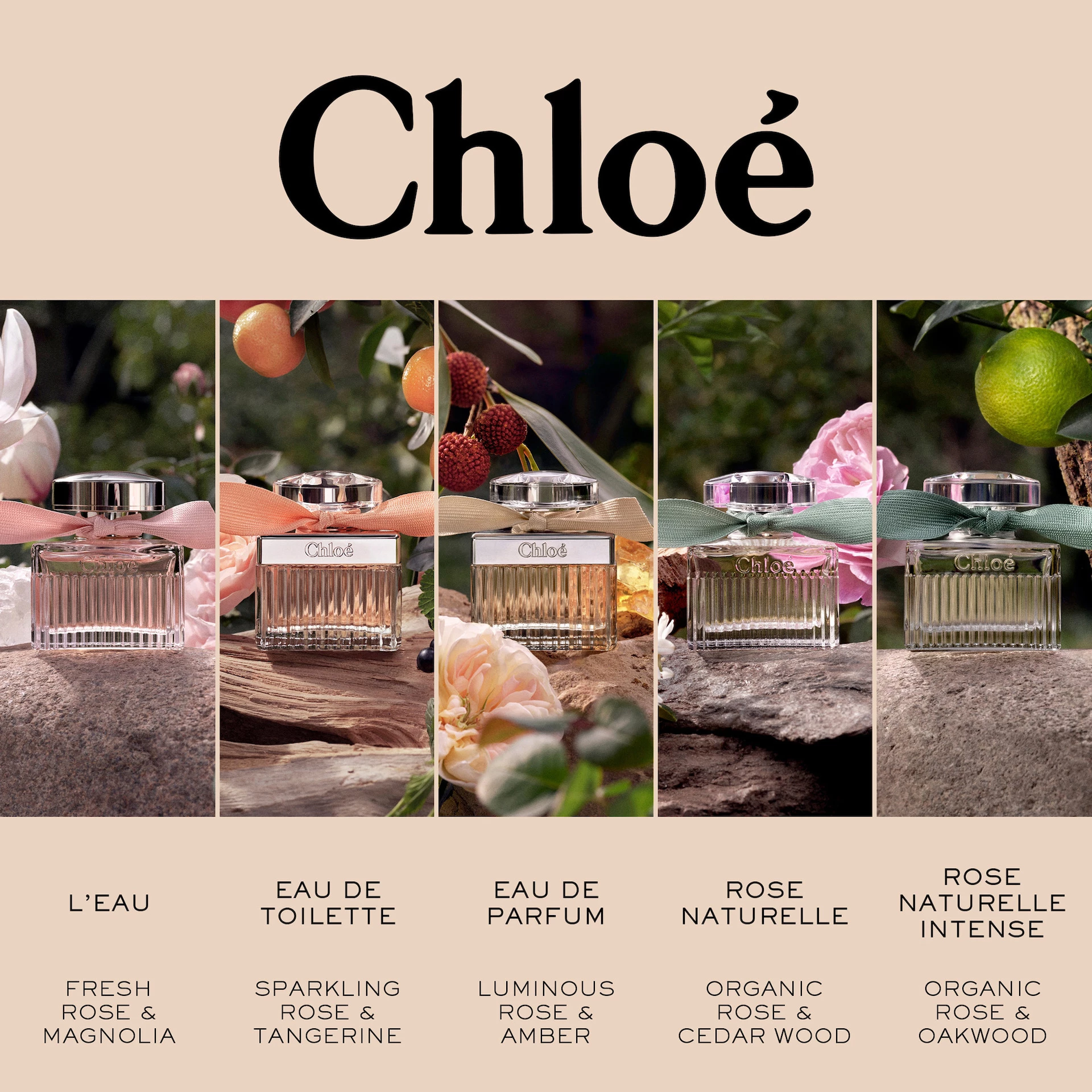 Signature Rose Tangerine toaletna voda 30 ml - Chloé