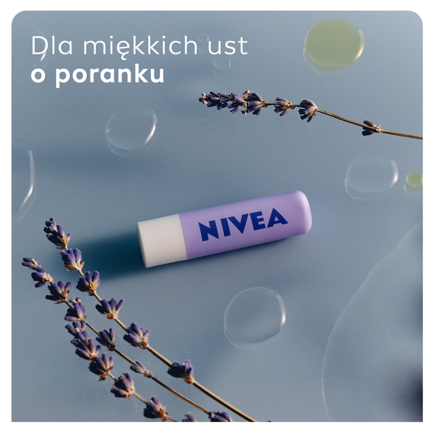Nivea nočna nega