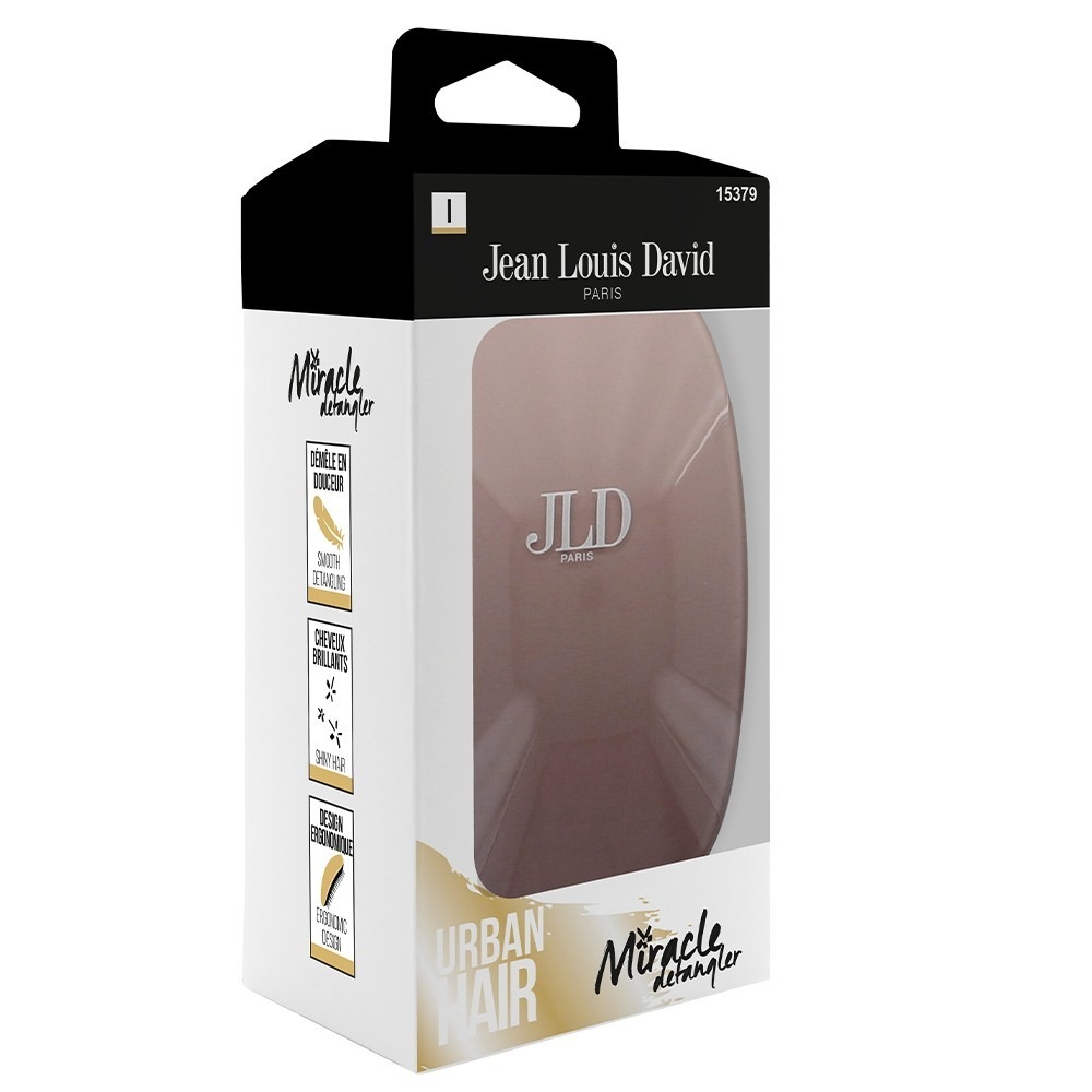 Jean Louis David MIRACLE DETANGLER