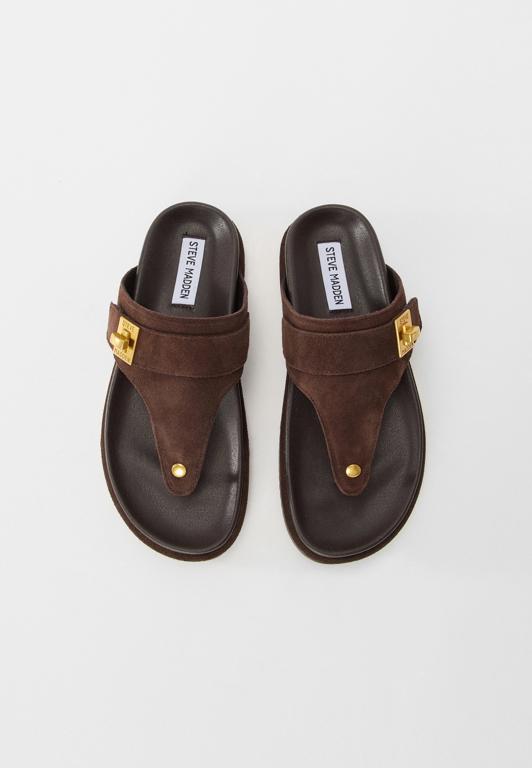 Steve Madden TUNED IN - Slippers - chocolate brown