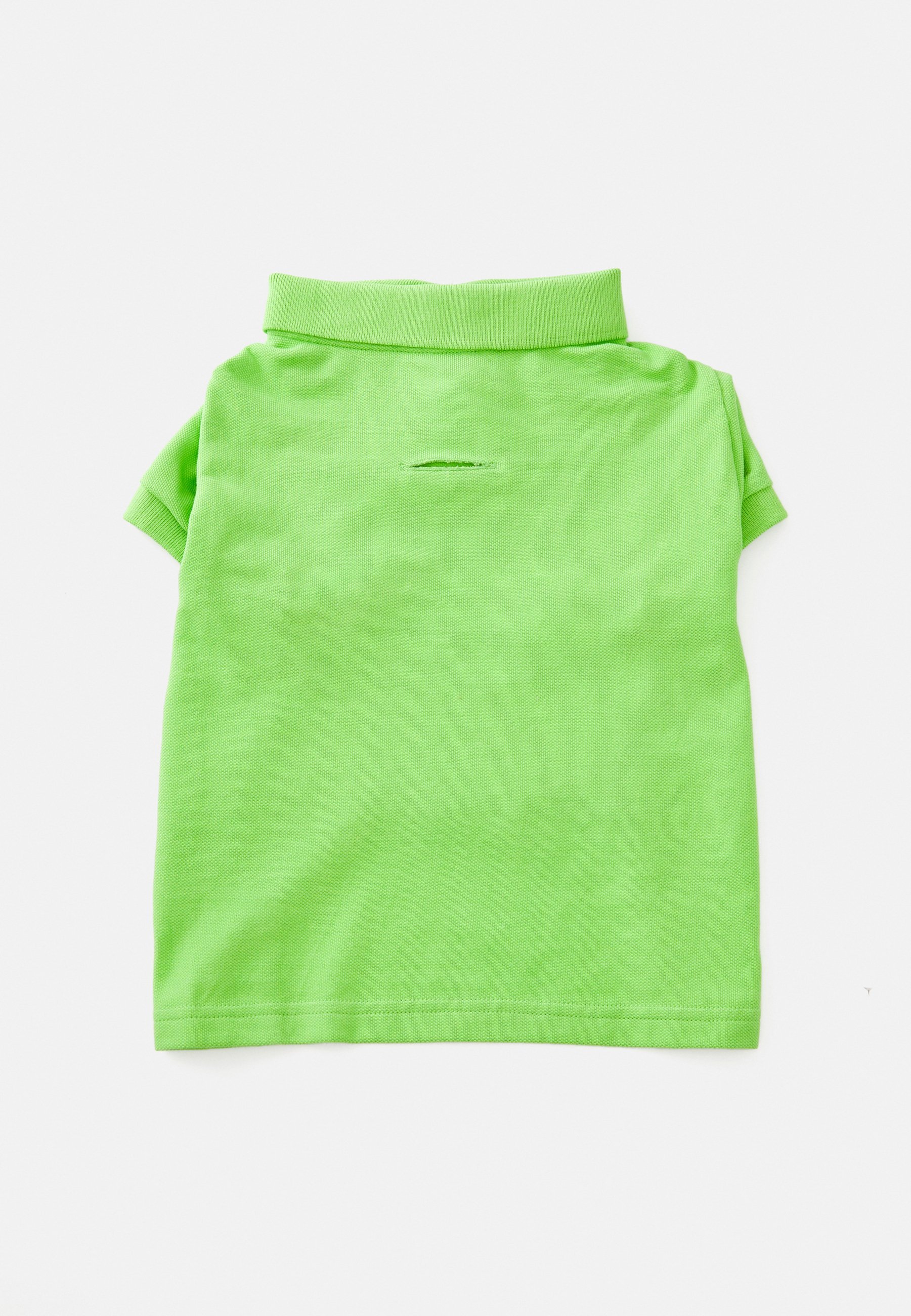 Polo Ralph Lauren huisdier