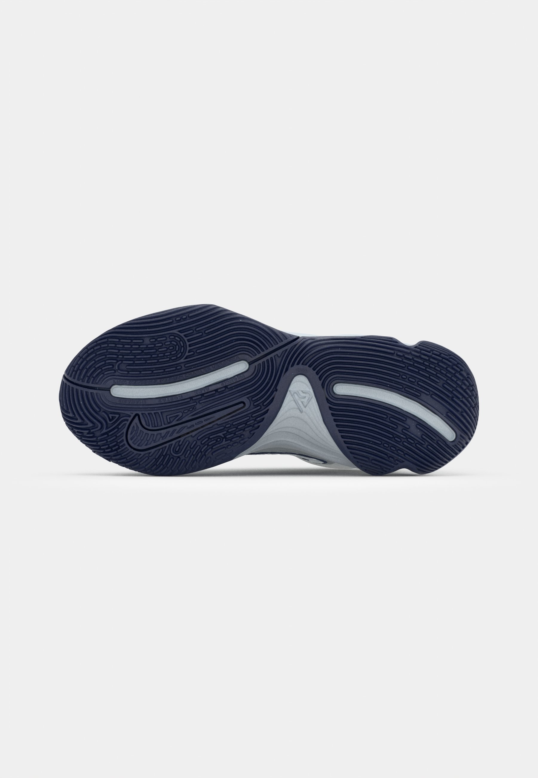 Nike Performance GIANNIS IMMORTALITY 4 - Basketbalschoenen - wolfgrijs/metallic platinum/pure platinum