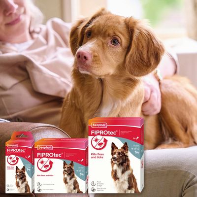 beaphar FIPROtec® Σημειωτό για ψύλλους και τσιμπούρια για σκύλους - M (10-20kg)