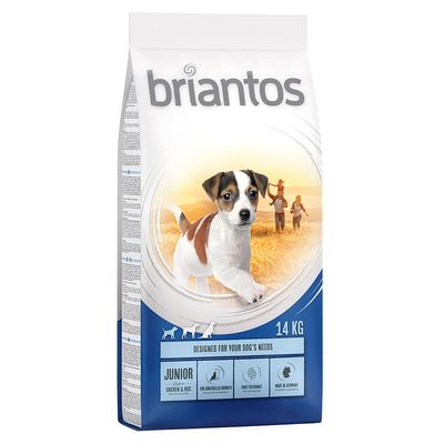 Briantos Júnior