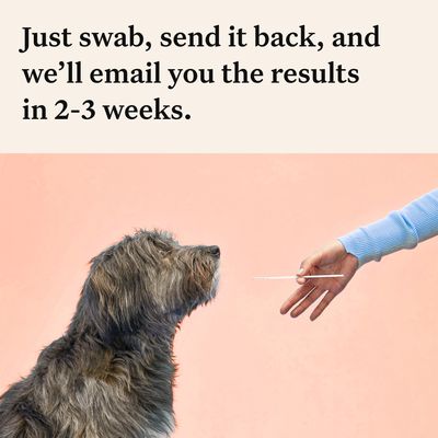 Wisdom Panel™ Premium DNA-test voor honden