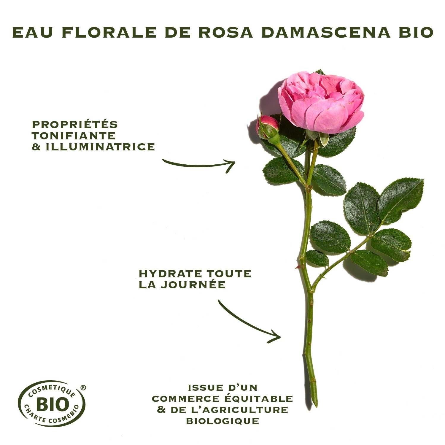 Sanoflore Rosa fresca
