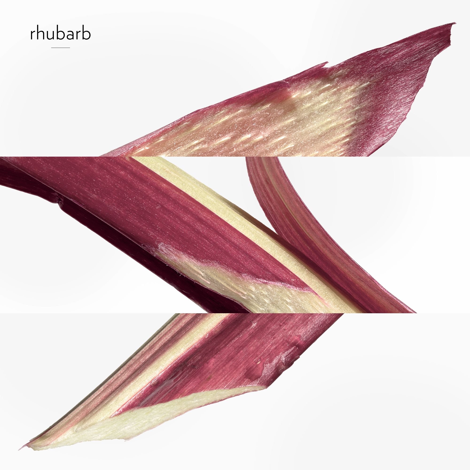 „Scarlet Rhubarb“ odekolonas Moteriški kvepalai