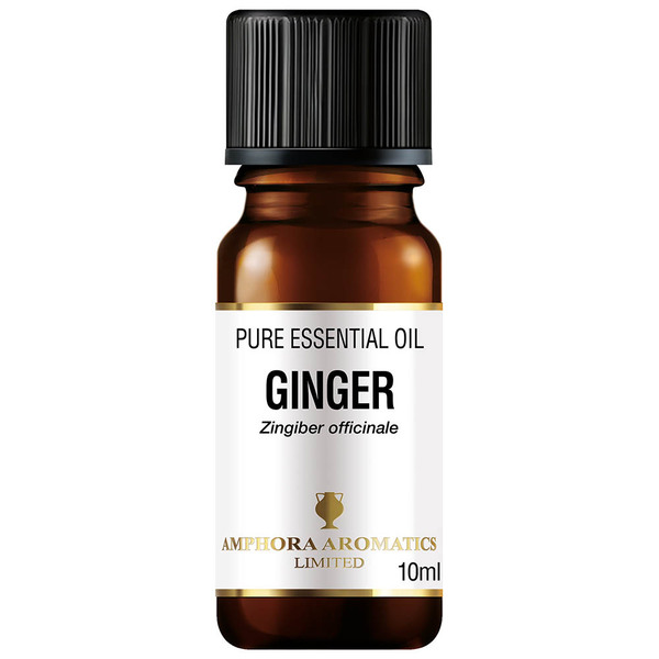 Óleo Essencial de Gengibre Amphora Aromatics 10ml | Saúde | Superdrug